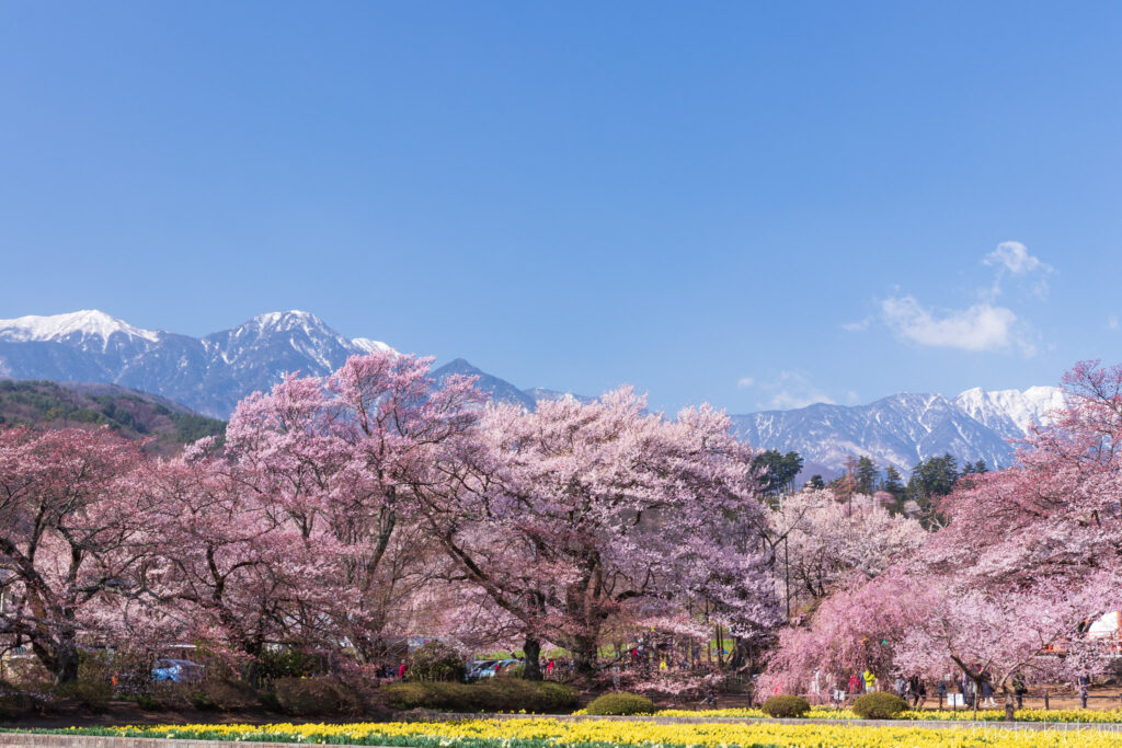 北杜市移住
