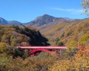10月の八ヶ岳南麓