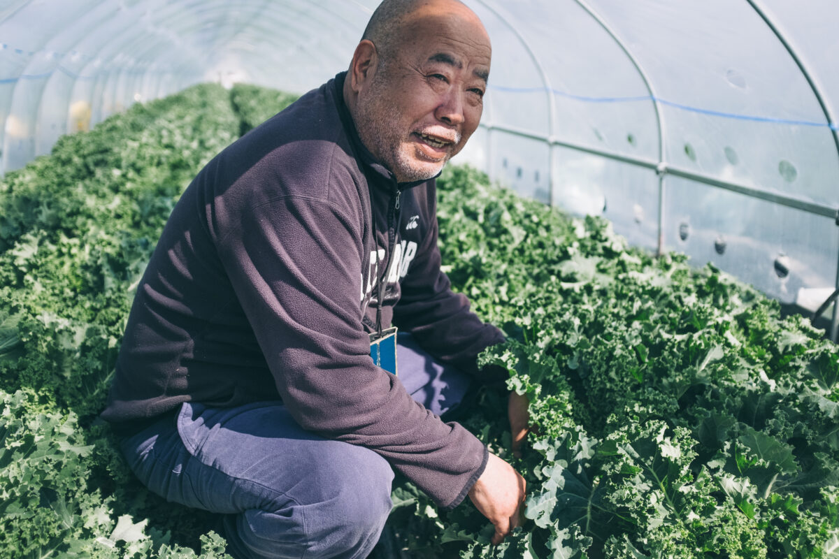 【徳島県鳴門市】“勝てる農業”を牽引する立役者 「株式会社 野本農園」 野本 勝一さん Nativ.media 地方移住・関係人口創出