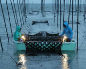 アリアケスイサン