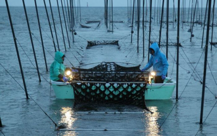 アリアケスイサン