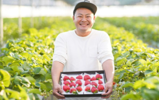 よかもんいちご