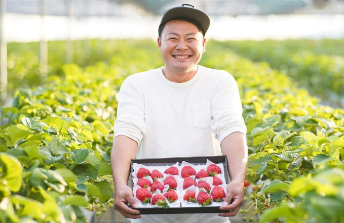 よかもんいちご