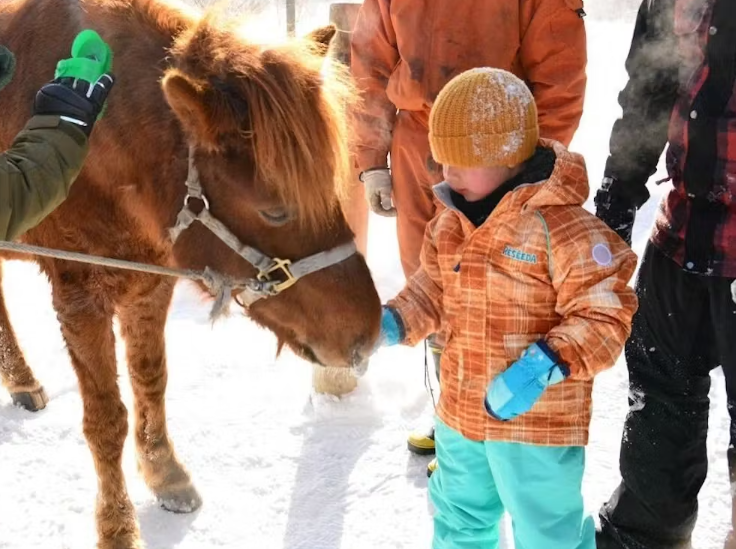スクリーンショット 2025-11-13 180219