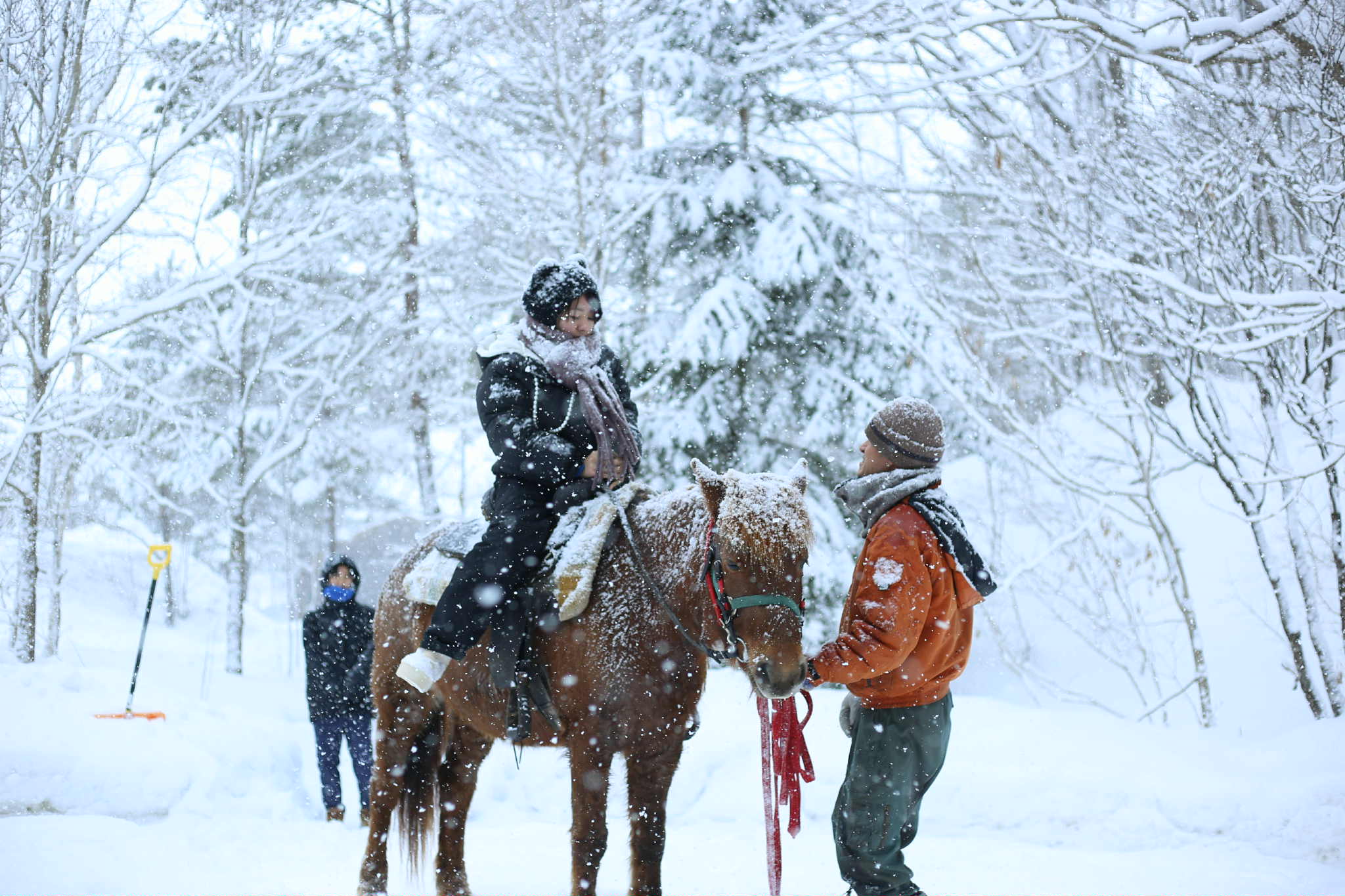 6c69df39-4154-4823-b629-faebe454eeb5