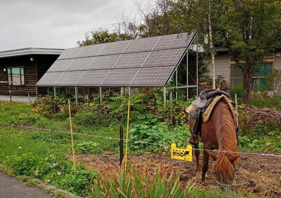 スクリーンショット 2025-11-06 170022