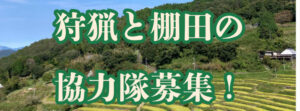 うめ