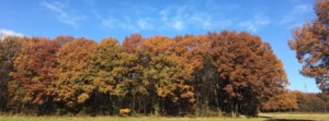 移住先探しダイアリー